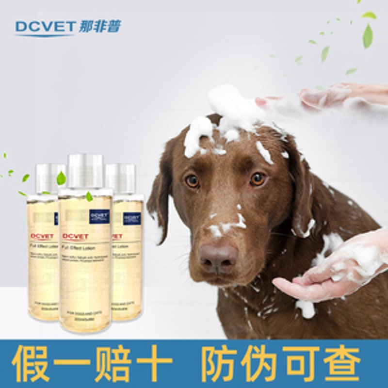 宠物护理用品：打造宠物健康舒适的小天地