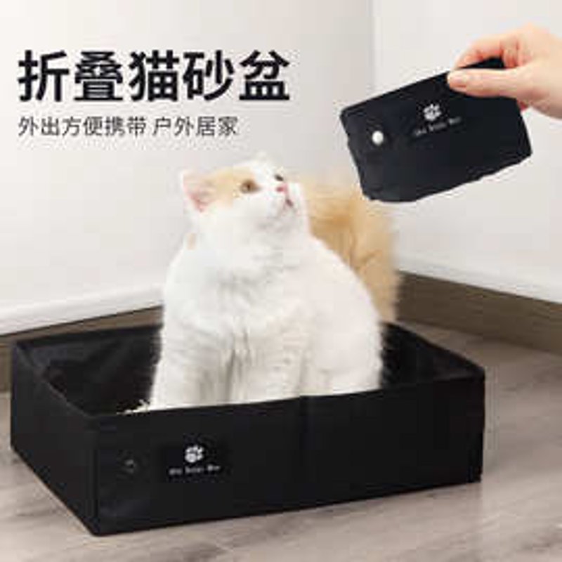 宠物市场的变化如何影响上海宠物用品批发行业？